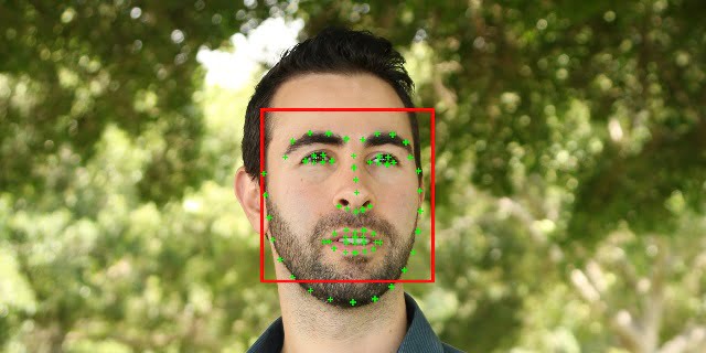 نقاط مهم چهره در تشخیص چهره