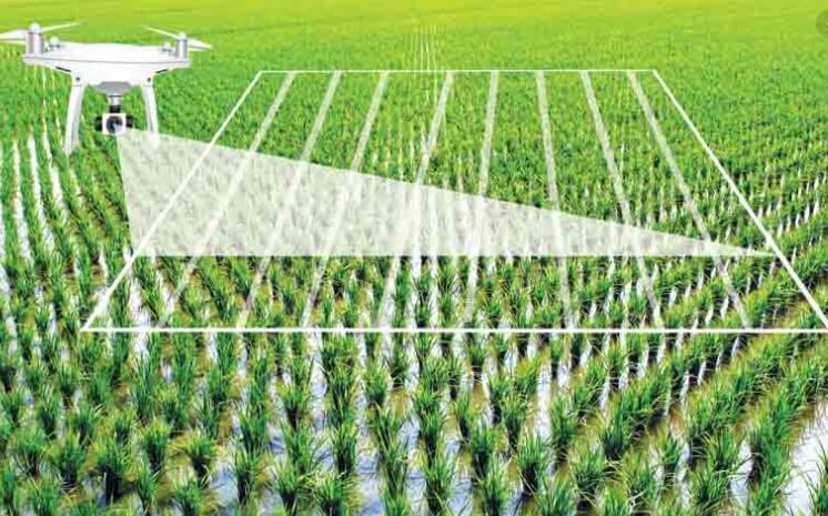 نظارت بر خاک در کشاورزی با کمک هوش مصنوعی